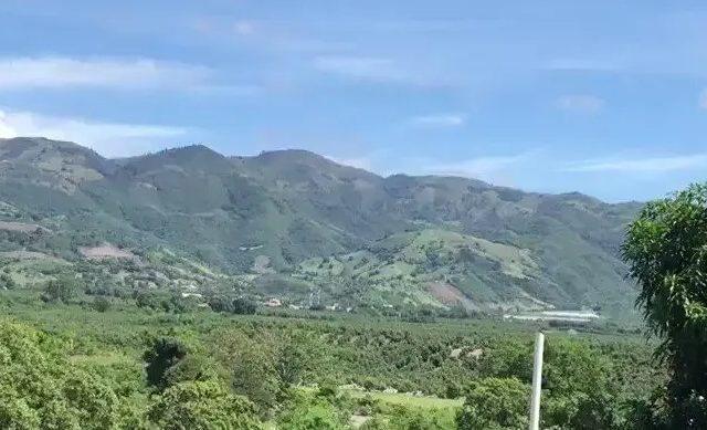 Multa de 60 millones de pesos a empresa por daño ambiental