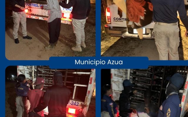Migración dominicana detiene 1,083 ilegales y deporta a 1,479