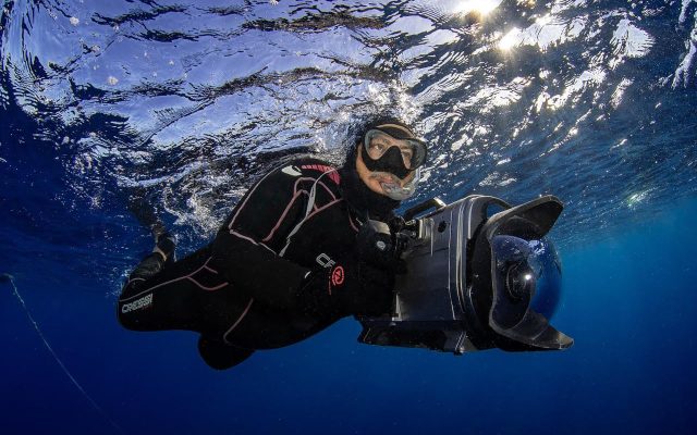 Abren este viernes muestra fotográfica en Galería 360