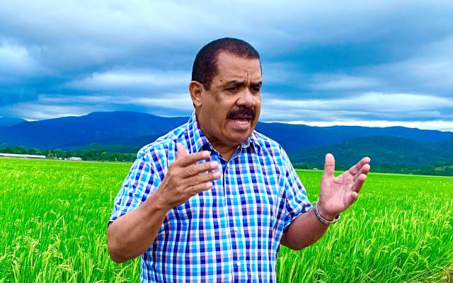 PLD alerta alza importaciones perjudica a productores de RD