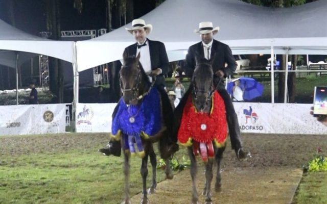 Sucesor, Victoria e Ilusión ganan Circuito Nacional Caballos Paso