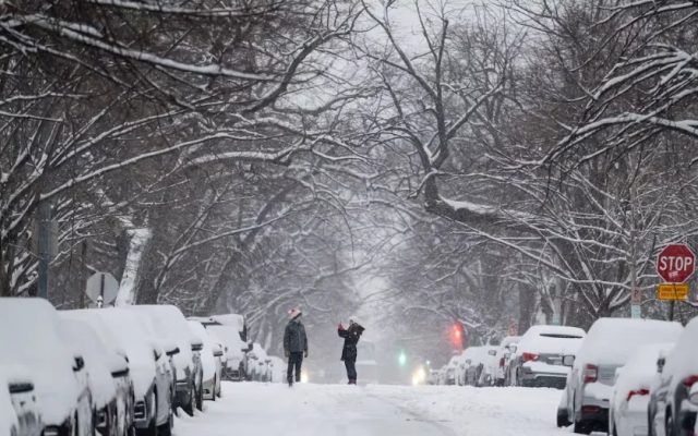 Nueva York y otros seis estados declaran estado de emergencia