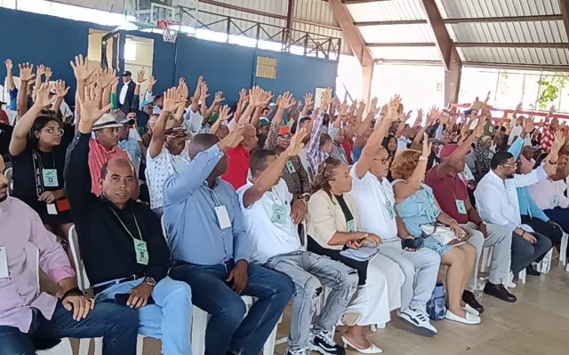 Fuerza del Pueblo elige su dirección ejecutiva en SDN