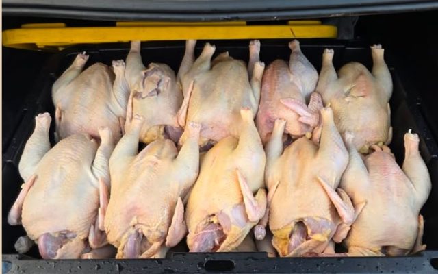 Inespre inicia venta más de un millón libras de pollo a 55 pesos