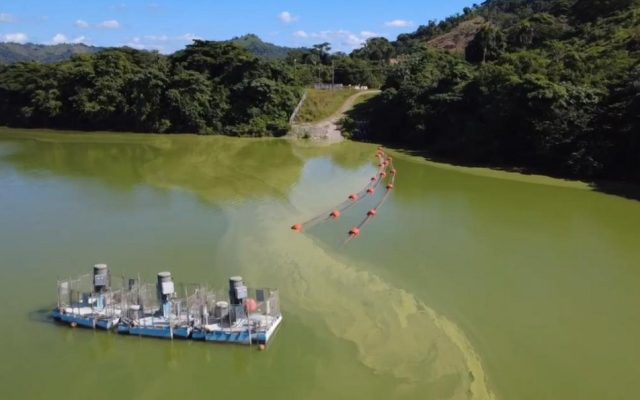 Academia de Ciencias alerta de contaminación Presa de Hatillo