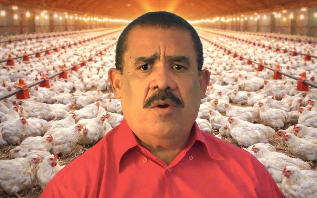 Exige rescate de 303 pequeños avicultores que está en quiebra