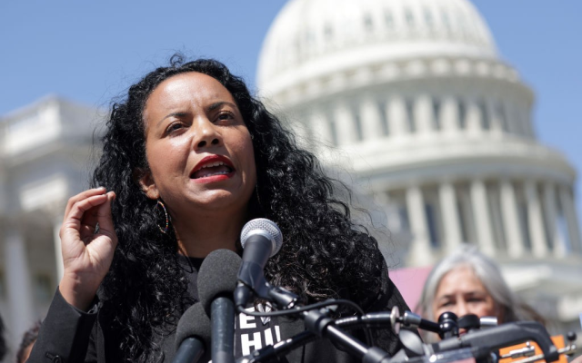 NY: Dominicana lidera primaria demócrata por escaño Congreso