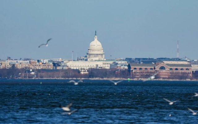 Trump declara la Capital de los EEUU como «zona de desastre»