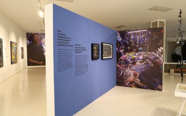 Museo de Arte Moderno de SD expone obra de martiniqués