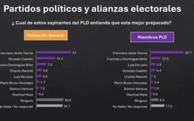 Encuesta ve Francisco Javier el más preparado aspirante PLD