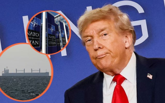 Trump arremete otra vez contra OTAN; la tilda de tigre de papel