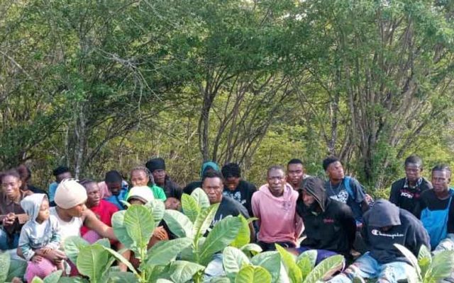 Ejército detiene 23 haitianos en la zona boscosa de Dajabón