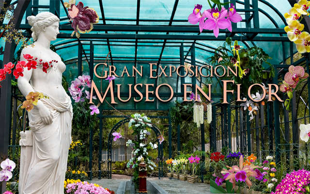 Anuncian Feria de Orquídeas del Cibao del 23 al 26 de abril