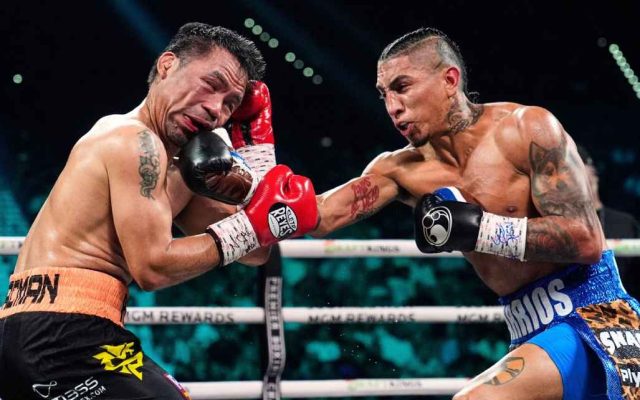 Boxeo profesional regresa este domingo a ciudad de Santiago