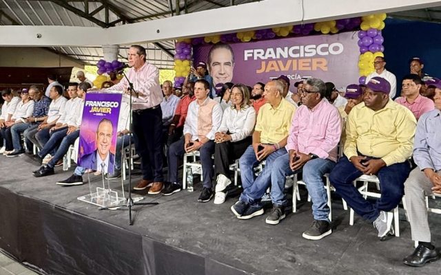 Dice para vencer a PRM, el PLD necesitará “jinete pura sangre”