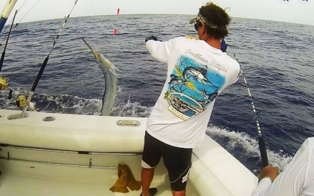 Torneo Internacional al Marlin Blanco en Cabeza de Toro