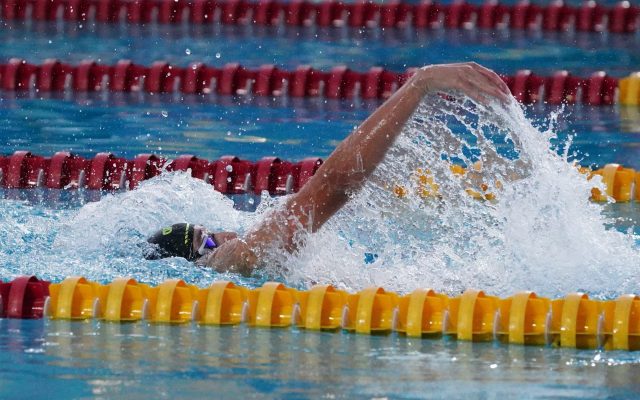 Marlins de Arroyo Hondo dan apertura invitacional natación