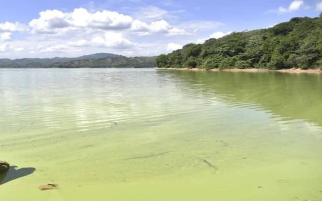 Inconcluso diagnóstico sobre contaminación presa de Hatillo