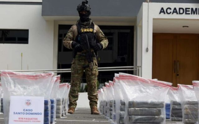 DNCD dice decomisó 914 kilos de drogas en últimos 30 días
