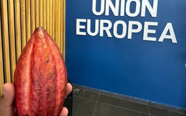 Cacao dominicano con nuevos requisitos de calidad de la UE