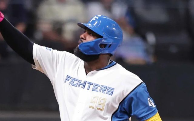 Dominicano Franmil Reyes se destaca en el béisbol de Japón