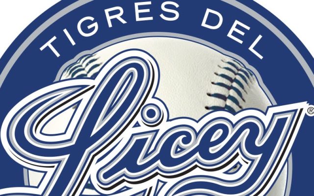 Tigres del Licey dejan en libertad a cinco jugadores