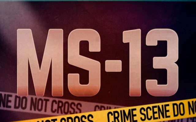 HONDURAS: EEUU ofrece US$10 millones por el cabecilla MS-13