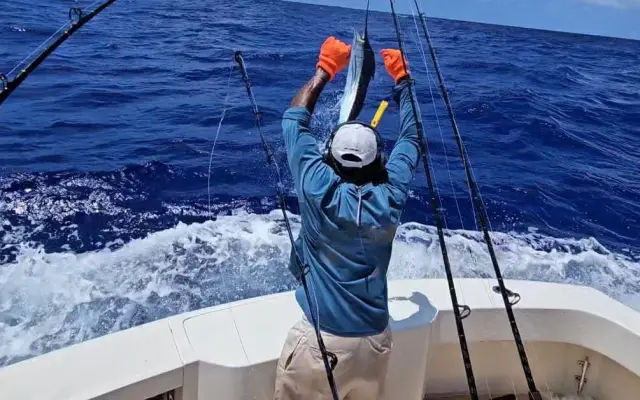 Rafael Brenes libera el primer marlin azul en torneo de pesca