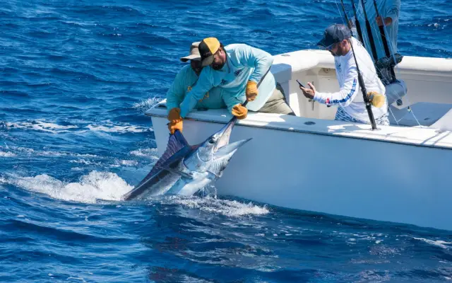 Pescadores PR y RD competirán en Torneo Pesca al Marlin Azul