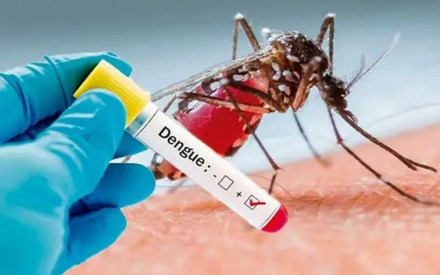 Salud aumenta prevención del dengue; pide eliminar criaderos