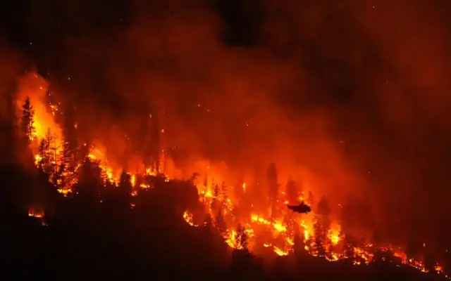 Donald Trump culpa a Canadá de los incendios forestales