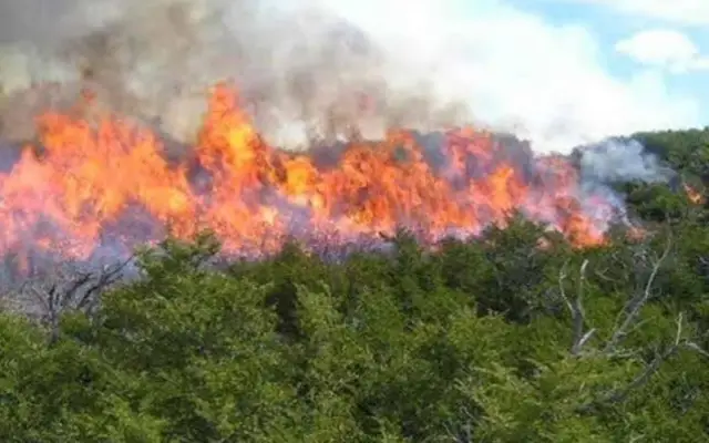 Se reactiva fuego Valle Nuevo, 70 brigadistas tratan sofocarlo