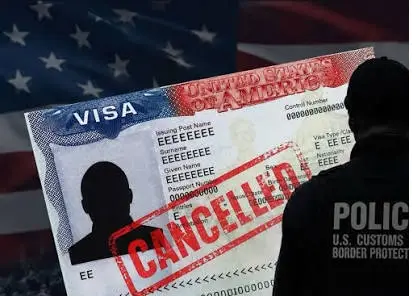 Cancelan visas a más 600 que viajaron a EEUU para dar a luz