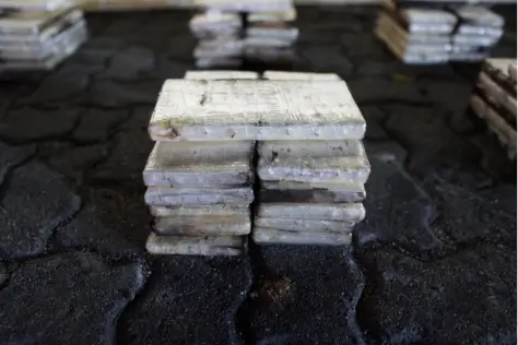 DNCD incauta 303 paquetes de presunta cocaína en Caucedo