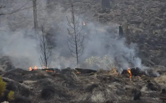Brigadas luchan contra fuego en el Parque Nacional Valle Nuevo