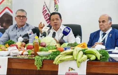 Piden mantener protección a la producción nacional de arroz
