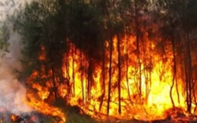 Advierten sobre emergencia por los incendios forestales en la RD