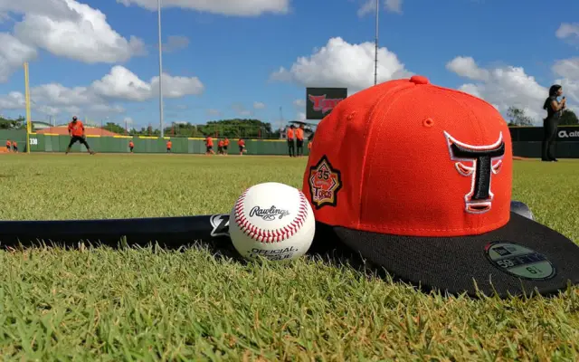 Pitchers Aaron Sánchez y Carlos Rodríguez regresan a los Toros