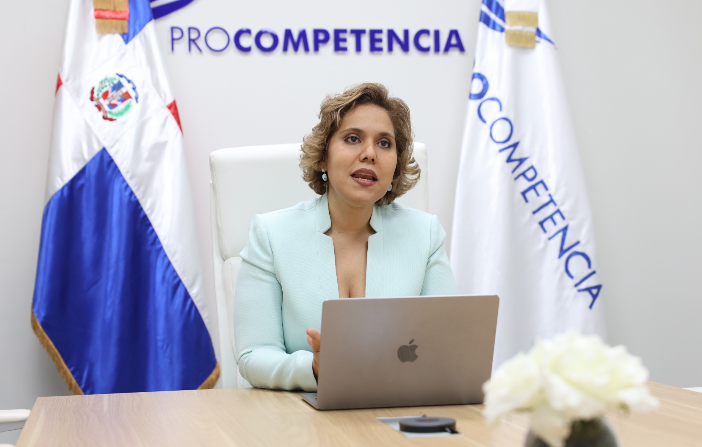 ProCompetencia presenta ante Mesicic herramientas contra colusión