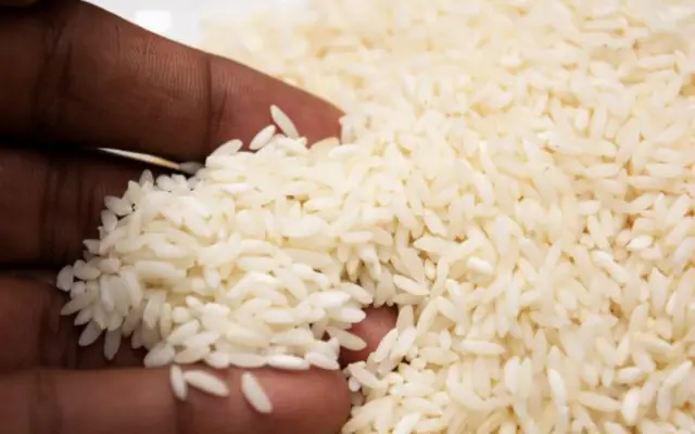 Ante dudas productores de RD, gobierno promete apoyo arroz