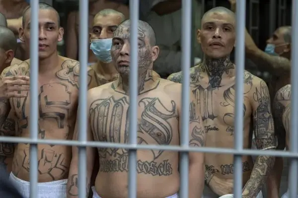 El Salvador procesa a 206 pandilleros; impone condenas