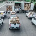 Ocupan 46.9 millones fármacos e insumos médicos ilegales SDE