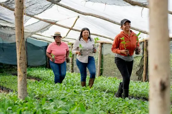 Proyecto agricultura ecológica gana Donativos Ambientales