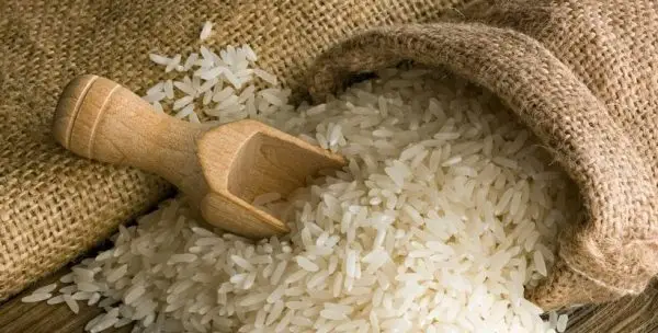 Condenan derogación decreto sobre protección arroz en la RD