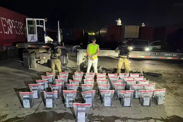 Incautan 228 paquetes presunta cocaína en SD y Punta Cana