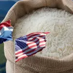 El arroz rendido: crónica de una derogación anunciada