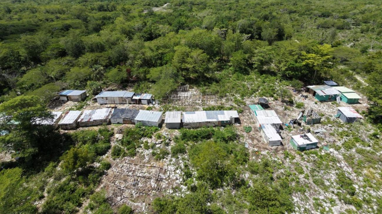Medio Ambiente desmonta 73 estructuras ilegales en Hoyo Claro
