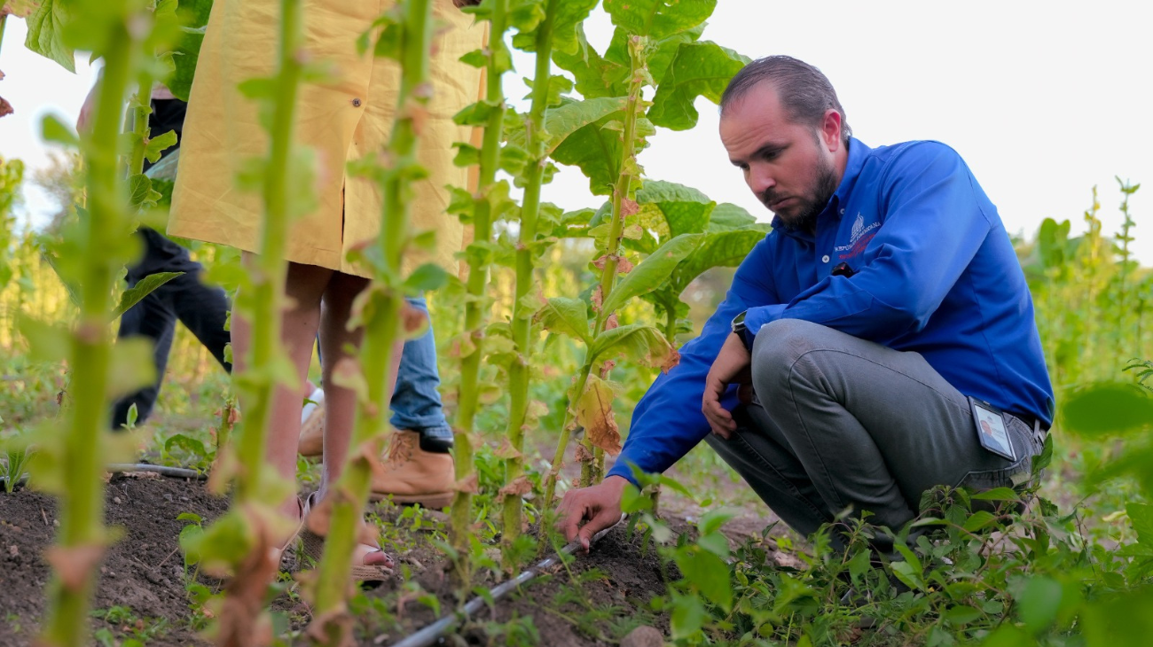 Gobierno invertirá USD 476.9 millones en riego agrícola hasta 2033